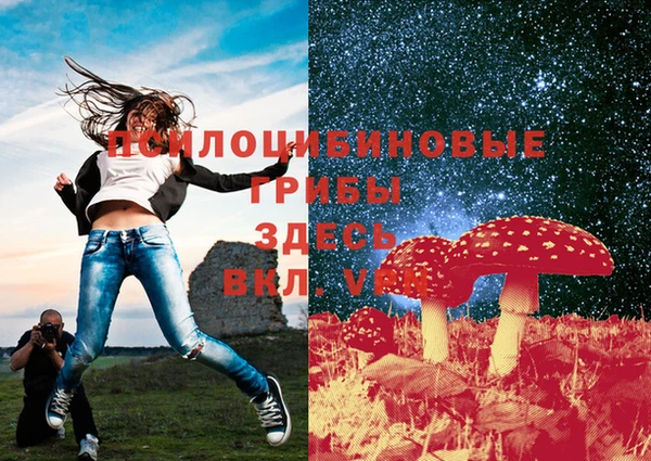 тгк Семёнов